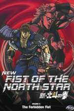 Watch New Fist of the North Star Megashare8