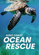 Watch Gold Coast Ocean Rescue Megashare8