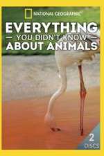 Watch Everything You Didnt Know About Animals Megashare8