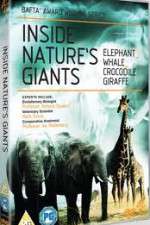 Watch Inside Nature's Giants Megashare8