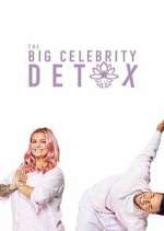 Watch The Big Celebrity Detox Megashare8