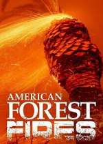 Watch American Forest Fires: The Untold Story Megashare8