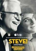 Watch STEVE! (martin) a documentary in 2 pieces Megashare8