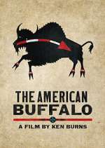 Watch The American Buffalo Megashare8