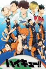 Watch Haikyuu!! Megashare8