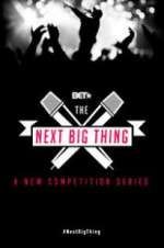Watch The Next Big Thing Megashare8