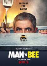 Watch Man Vs Bee Megashare8