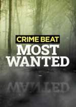 Watch Crime Beat: Most Wanted Megashare8