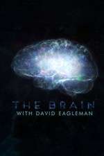 Watch The Brain with Dr David Eagleman Megashare8