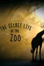 Watch The Secret Life of the Zoo Megashare8