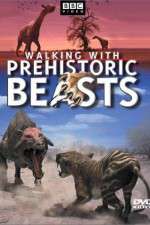 Watch Walking with Beasts Megashare8