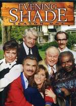 Watch Evening Shade Megashare8