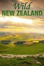 Watch Wild New Zealand Megashare8